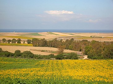 Ferienhaus in Conil de la Frontera - Aussicht von der Einfahrt