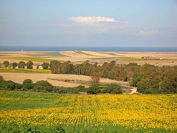 Ferienhaus in Conil de la Frontera - Aussicht von der Einfahrt