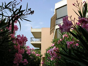 Ferienwohnung in Antibes Juan les Pins - Gepflegte blumenreiche Residenz, Garten und Pool