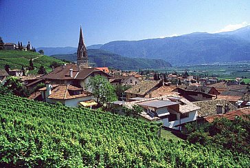 Ferienwohnung in Tramin - Weingut Rynnhof