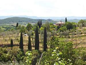 Ferienwohnung in Petroio - Ausblick aus der Wohnung