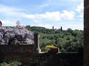 Ferienwohnung in Petroio - Ausblick Petroio -Traumhaft