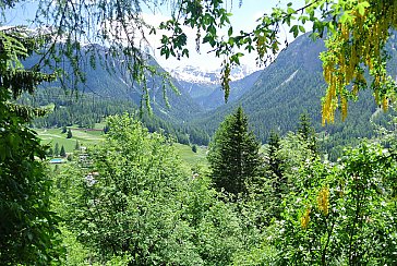 Ferienhaus in Bergün - Ausblick