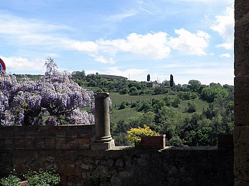 Ferienwohnung in Petroio - Ausblick in Petroio