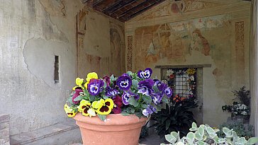 Ferienhaus in Petroio - Kleine "Perle" am Wegesrand