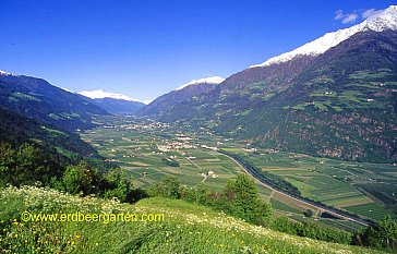 Ferienwohnung in Naturns - Vinschgau Richtung Reschen