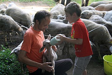 Ferienwohnung in Saint Didier sous Aubenas - Morgendiche Fütterung der Tiere