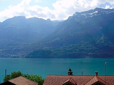 Ferienwohnung in Niederried - Aussicht aus der Wohnung und Balkon