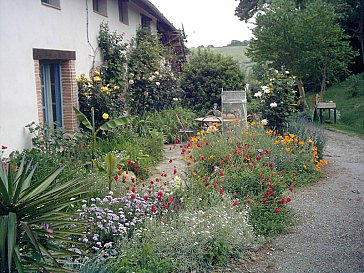 Ferienwohnung in Latour - Bild11