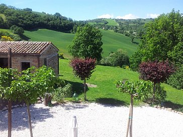 Ferienwohnung in Arcevia-San Pietro - Aussicht Rosa nel Pozzo