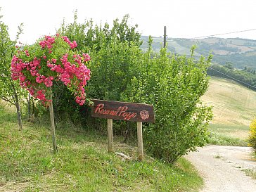 Ferienwohnung in Arcevia-San Pietro - Weg nach Rosa nel Pozzo
