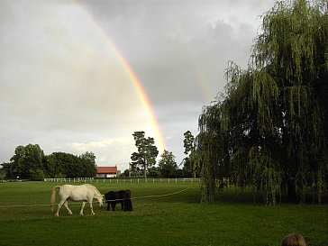 Ferienhaus in Asnans-Beauvoisin - Sie erleben Bilderbuchtage