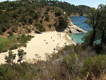 Ferienhaus in Cavalaire sur Mer - Strand und Meer