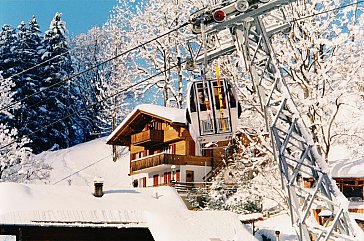 Ferienwohnung in Grindelwald - Bossrain