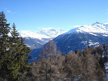 Ferienwohnung in Veysonnaz - Wanderung durch Lärchenwälder