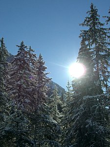 Ferienhaus in Lenzerheide - Winterimpressionen