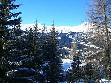 Ferienhaus in Lenzerheide - Scalottas