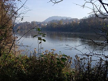 Ferienwohnung in Luzern - Rotsee