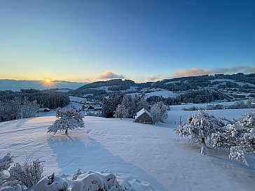 Ferienwohnung in Schachen-Reute - Aussenbereich