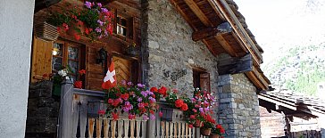 Ferienwohnung in Saas-Almagell - Blumengeschmückte Terrasse