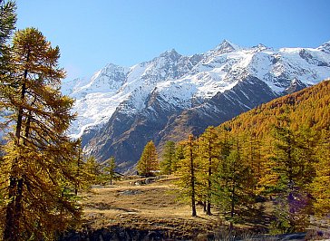 Ferienwohnung in Saas-Grund - Bild12