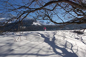 Ferienwohnung in Sils-Maria - Winterimpressionen