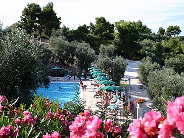 Ferienwohnung in Vieste - Der Pool