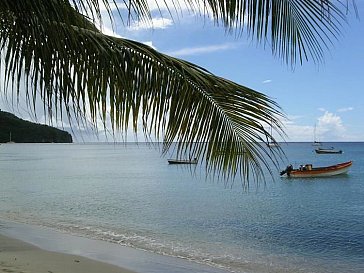 Ferienwohnung in Anses d'Arlet - Der Strand