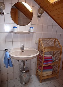 Ferienwohnung in Göriach-Mariapfarr - Dusche