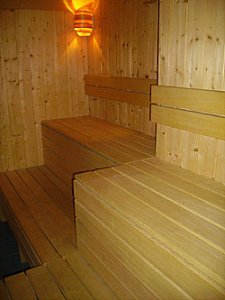 Ferienwohnung in Göriach-Mariapfarr - Sauna