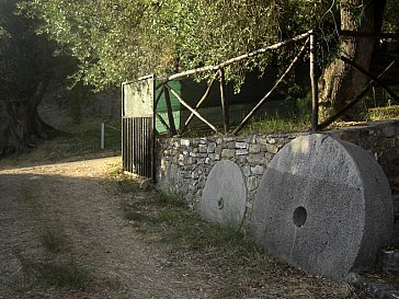 Ferienwohnung in Pisciotta - Gartenecke