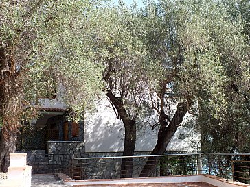 Ferienwohnung in Pisciotta - Die reiche Natur unseres Gartens