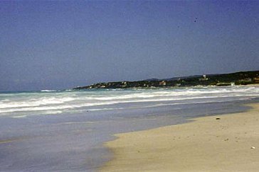 Ferienwohnung in Castellina Marittima - Unser Strand