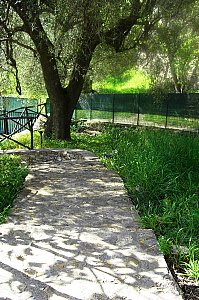 Ferienwohnung in Pisciotta - Gartenecke