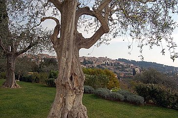 Ferienhaus in Biot - Aussicht auf Biot