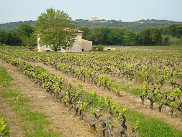 Ferienhaus in Biot - Côte de Provence Weine