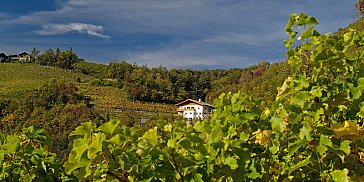 Ferienwohnung in Völs am Schlern - Der Prackfolerhof, eingebettet in seine Weinberge