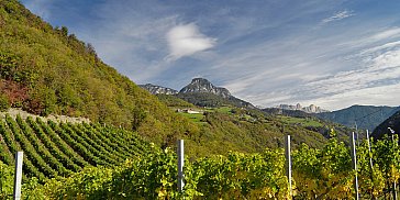 Ferienwohnung in Völs am Schlern - Prackfolerhof – Urlaub am Weinhof