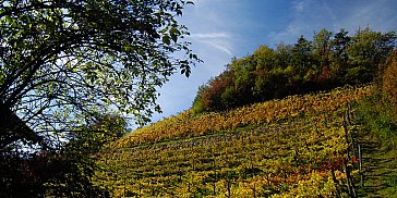 Ferienwohnung in Völs am Schlern - Prackfolerhof – Urlaub am Weinhof