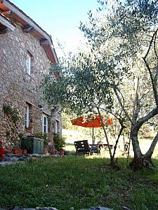 Ferienhaus in Camaiore - Garten