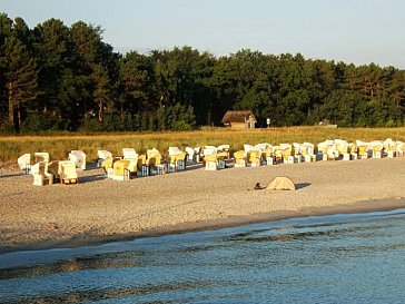 Ferienwohnung in Ostseeheilbad Zingst - Ostseeheilbad Zingst