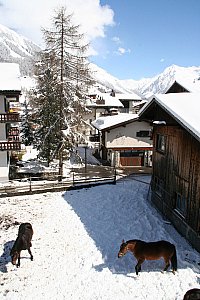 Ferienwohnung in Klosters - Aussicht