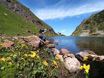 Ferienwohnung in St. Ulrich am Pillersee - Bergsee Wildseeloder