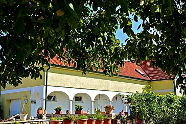 Ferienwohnung in Mörbisch am See - Hof