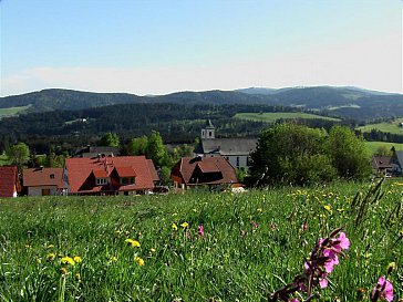 Ferienwohnung in Breitnau - Blick auf den Feldberg