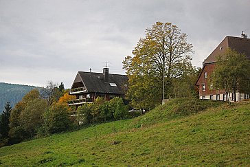 Ferienwohnung in Breitnau - Ferienhaus Neuhof