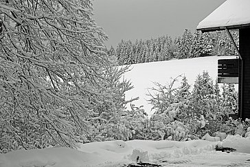 Ferienwohnung in Breitnau - Ferienhaus Neuhof