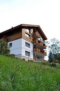 Ferienwohnung in Wiler - Haus