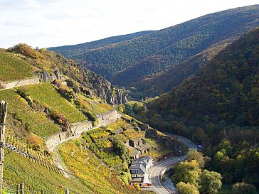 Ferienwohnung in Bad Neuenahr-Ahrweiler - Das Ahrtal mit den Weinbergen