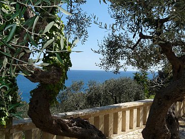 Ferienhaus in Marina di Novaglie - Aussicht aufs Meer vom Garten aus